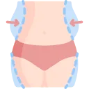 Liposuction Icon